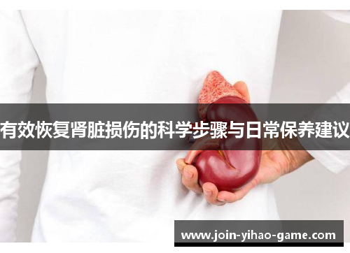 有效恢复肾脏损伤的科学步骤与日常保养建议