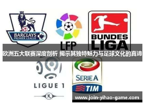 欧洲五大联赛深度剖析 揭示其独特魅力与足球文化的真谛