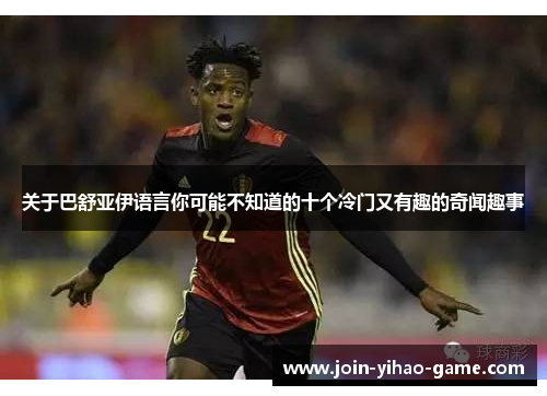 关于巴舒亚伊语言你可能不知道的十个冷门又有趣的奇闻趣事